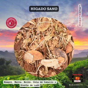 Higado sano